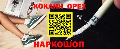 гашик Бийск