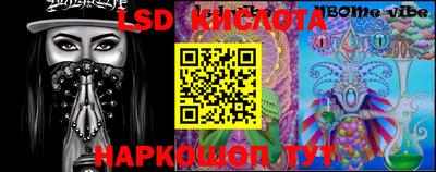 шишки Берёзовский