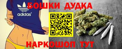 гашик Бийск