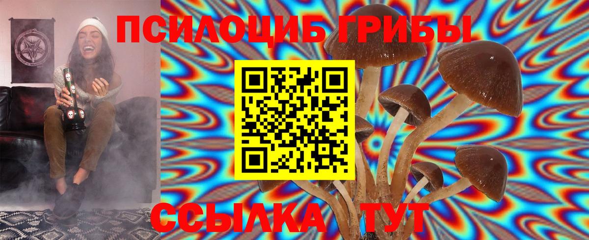 Псилоцибиновые грибы GOLDEN TEACHER  Вход с VPN  Егорьевск 
